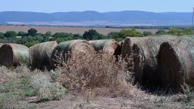 A slow zoom-in on a row of round hay bales wrapped in green netting, set against a vast agricultural landscape with rolling hills and distant mountains under a clear blue sky.