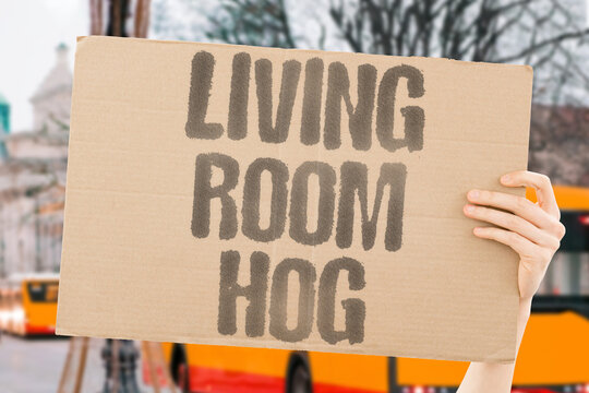 "Living Room Hog" He sprawls on the only couch all weekend. Roommate conflict. Common area. Space monopoly. Lounge tyranny. Shared home.