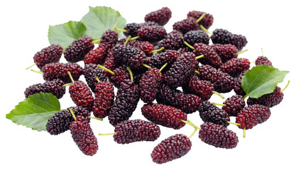 Fresh Ripe Mulberries with Green Leaves © Baja
