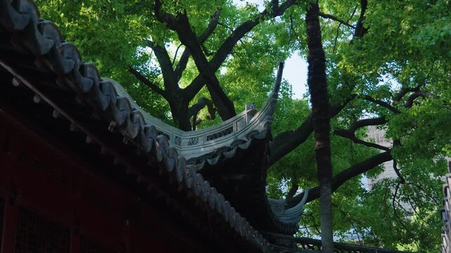 China Ming Dynasty Temple Roof Architecture With Greenery