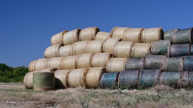 A slow zoom-in on a large stack of round hay bales, some wrapped in netting, resting in a dry field under a clear blue sky.