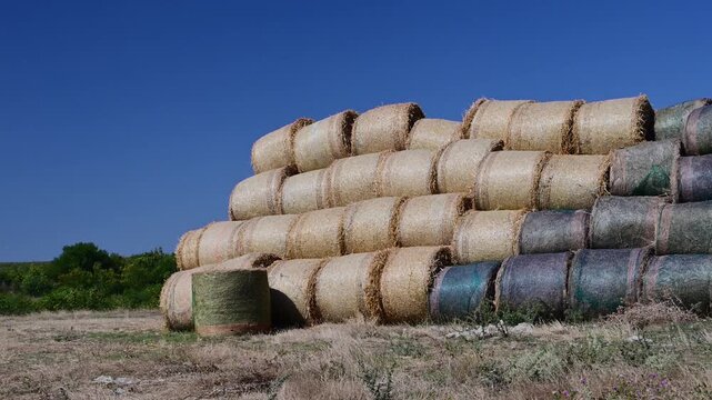 A slow zoom-in on a large stack of round hay bales, some wrapped in netting, resting in a dry field under a clear blue sky.