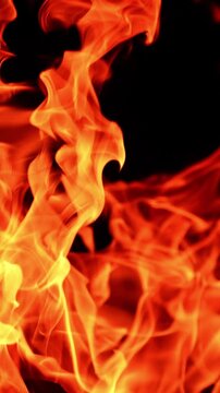 Orange flames of a campfire. Close up view on the big bonfire burning at black backdrop. Vertical video