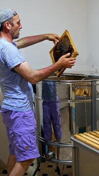 Frames after honey extraction are removed from the centrifuge machine. Male beekeeper picking honey harvest in the apiary. Vertical video