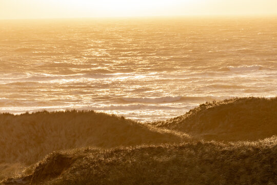 Hirtshals, Denmark Sand dunes and the North Sea at sunset on a windy day.