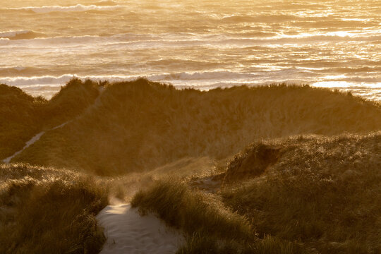 Hirtshals, Denmark Sand dunes and the North Sea at sunset on a windy day.
