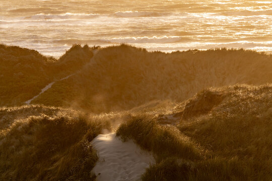 Hirtshals, Denmark Sand dunes and the North Sea at sunset on a windy day.