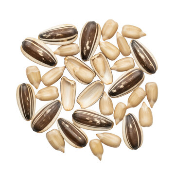 Pile of organic sunflower seeds and kernels