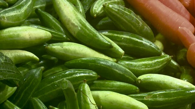 Fresh Green Pointed Gourds Arranged in a Market Basket as Traditional Asian Vegetable Produce