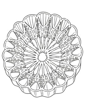 Circular diatom algae mandala line art botanical illustration