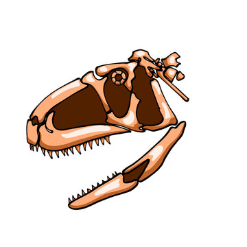 Aucasaurus 