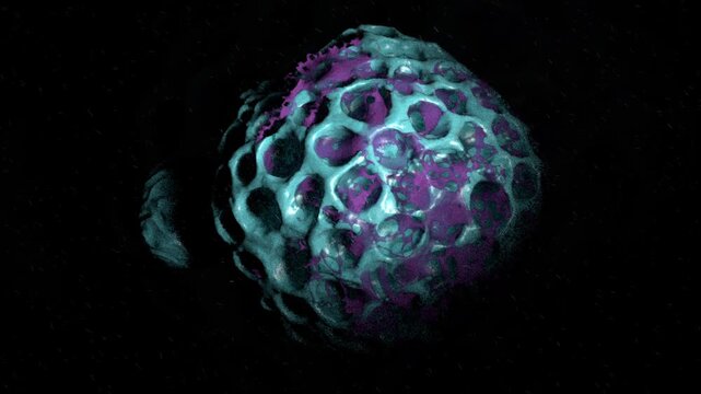 Cell Necrosis Under Electron Microscopy