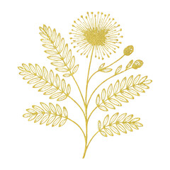 Fototapeta premium PNG Elegant golden botanical illustration