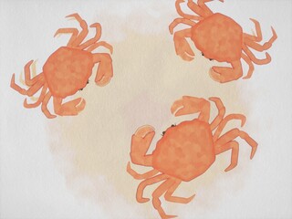Watercolor Illustration of a crabs crossing paths. © paris