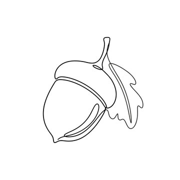 Continuous one line drawing of minimal acorn with oak leaf, simple autumn forest seed vector illustration