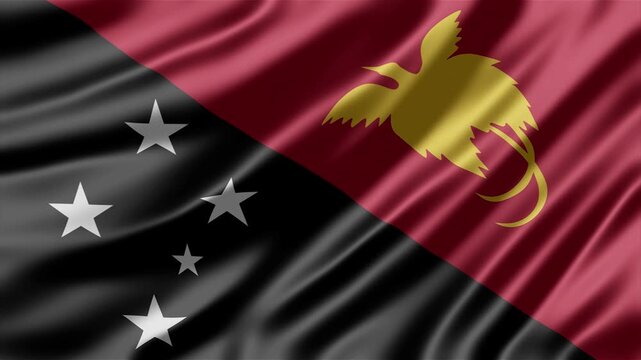 Papua New Guinea flag waving in gentle breeze with soft lighting and realistic fabric motion for high quality stock video