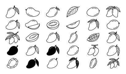Black and White Mango Fruit with Leaf Botanical Vector Collection © Asif