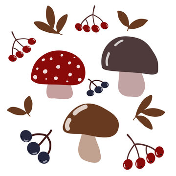 Seamless autumn forest pattern featuring mushrooms, wild berries, leaves, acorns and woodland elements in a cozy seasonal botanical illustration style. Perfect for fabric, wrapping paper 
