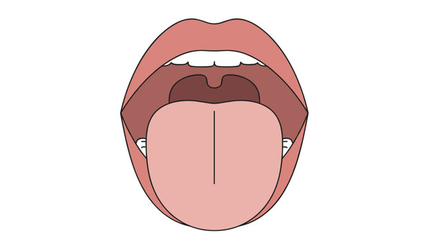Medical anatomy illustration of an open human mouth showing the tongue, throat, and uvula on a white background.