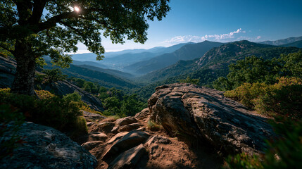 Obraz premium Sunny mountain valley vista with oak tree silhouette and rocky foreground blue sky mountain