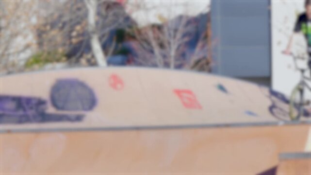 Skater at the park