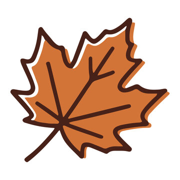 Brown autumn maple leaf fall foliage in retro bold outline offset style vector illustration