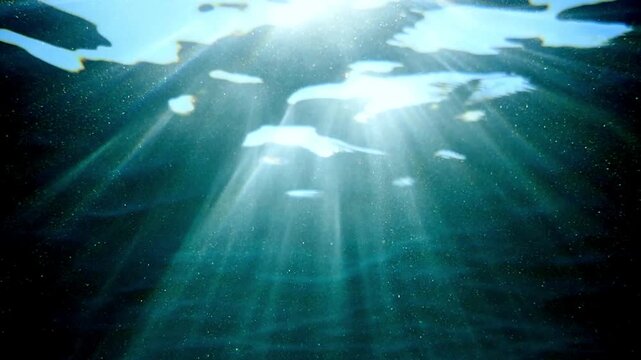 Slow motion of Abstract underwater sea with soft blue light and calm water currents, peaceful serenity. Blue flare light beam. Underwater background of ocean with sunlight rays. Real video. undersea.