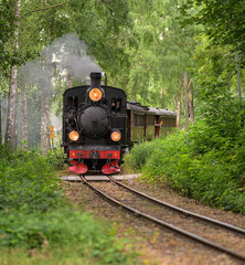 Black steam locomotive with glowing lamps in shaded forest. © Trygve