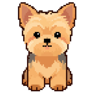 Cute pixel art Yorkshire Terrier dog puppy sitting isolated on white background vector illustration