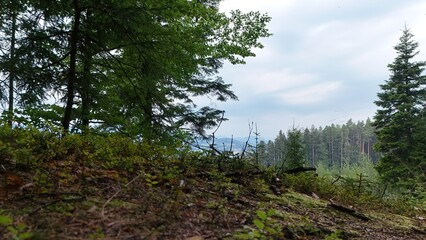 Fototapeta premium Landschaft der Buckligen Welt