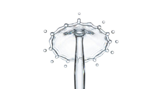 Water crown splash isolated on transparent background with falling stream.