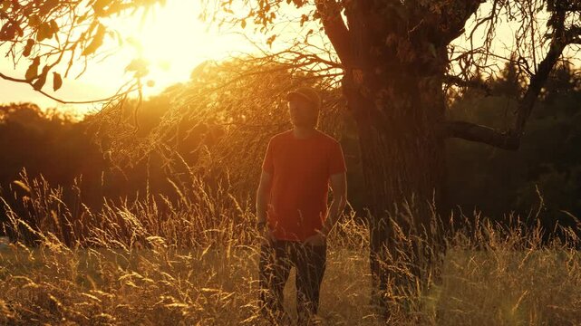 Young man walks up to a tree at sunset, leans to the trunk and enjoys the view of the illuminated high dry grass moving in the wind.