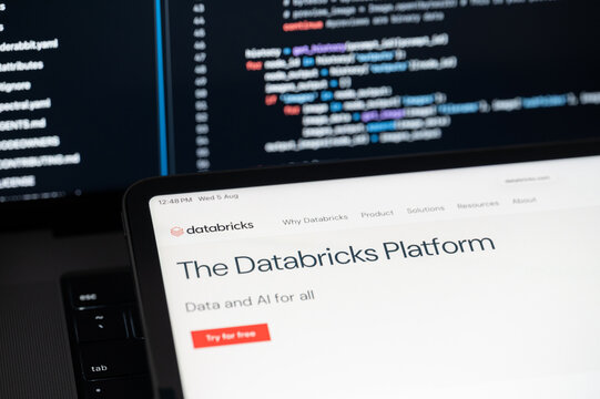 Databricks Ai company web page on program code background
