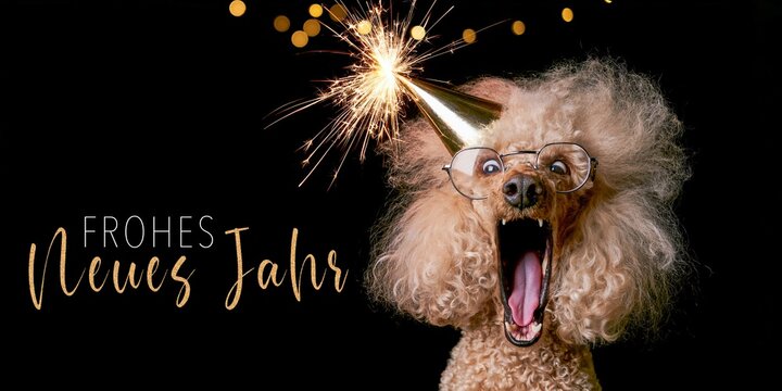 Frohes neues Jahr, Silvester, Party, Neujahr, Feier Gru&szlig;karte, Karte mit deutschem Text - Lustiger Pudel Hund mit Partyhut, isoliert auf schwarzem Hintergrund