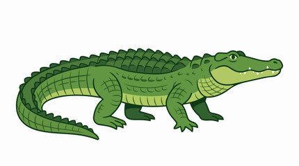 Fototapeta premium Large Green Crocodile Alligator Wild Reptile Predator Standing Profile Isolated on White Background Graphic