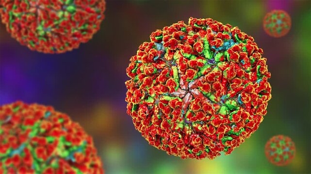 Chikungunya virus particles, 3D animation illustrating an arthritogenic alphavirus associated with acute febrile illness and severe polyarthralgia.