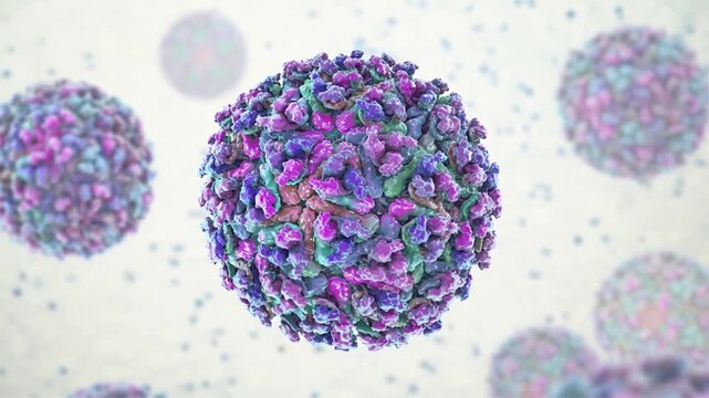Chikungunya virus particles, 3D animation illustrating an arthritogenic alphavirus associated with acute febrile illness and severe polyarthralgia.