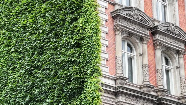 Building facades with classical architectural decoration and overgrown, Copenhagen, Denmark