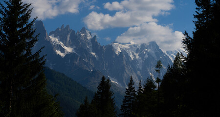 Naklejka premium Summer view of the Mont Blanc massif above forested slopes 