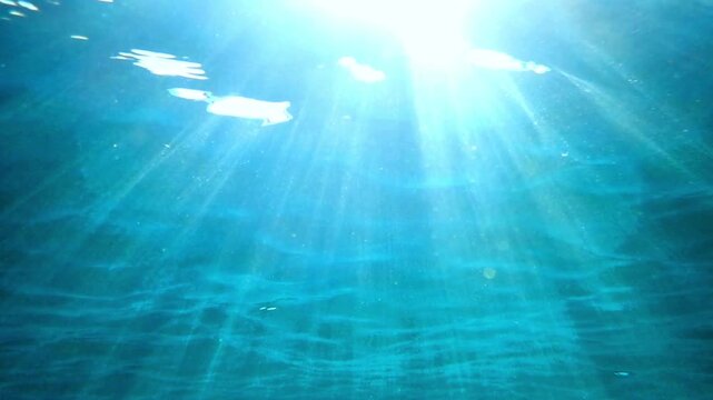 Slow motion of Abstract underwater sea with soft blue light and calm water currents, peaceful serenity. Blue flare light beam. Underwater background of ocean with sunlight rays. Real video. undersea.