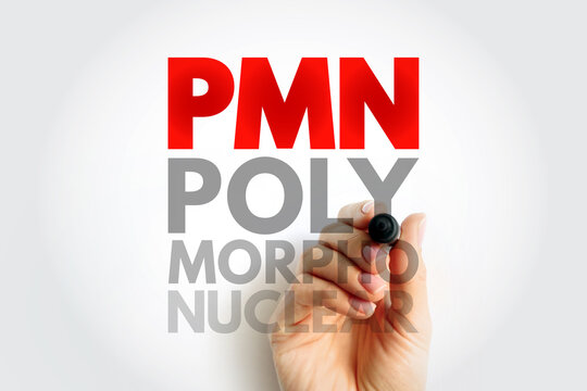 PMN Polymorphonuclear concept written by hand, medical terminology, biology science, immune defense, health laboratory, cellular research background