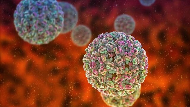 Ross River virus particles, 3D animation illustrating mosquito-borne viral infection causing epidemic polyarthritis with fever, rash and prolonged joint pain, common in Australia.
