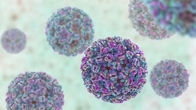 Ross River virus particles, 3D animation illustrating mosquito-borne viral infection causing epidemic polyarthritis with fever, rash and prolonged joint pain, common in Australia.