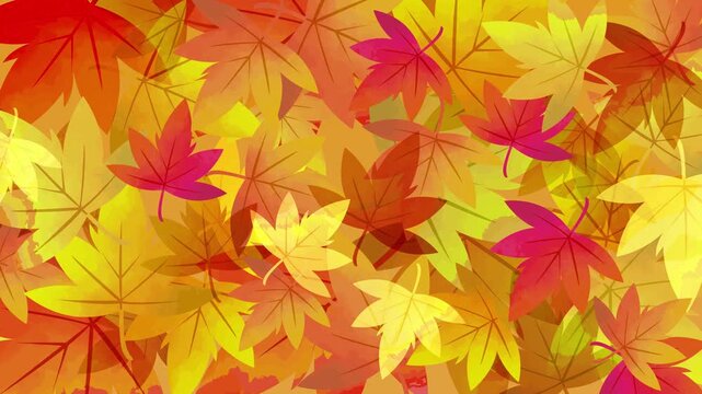 落ちた紅葉が広がるアニメーション　銀杏　もみじ