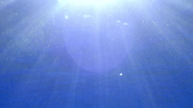 Slow motion of Abstract underwater sea with soft blue light and calm water currents, peaceful serenity. Blue flare light beam. Underwater background of ocean with sunlight rays. Real video. undersea.