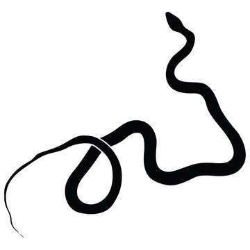 black reptile silhouette crawling serpent icon aerial view graphic for logo and tattoo design