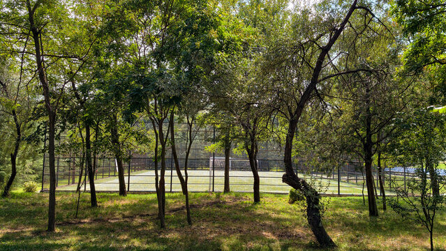 Sports field nestled within a lush green forest, offering a serene outdoor setting for active recreation and community gatherings during a sunny day
