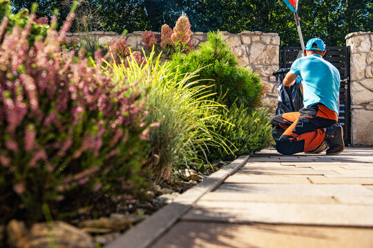 Gardener collecting waste from a landscaped garden on a sunny day