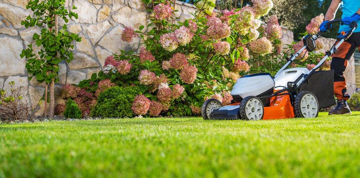 Lawn care activity with a mower near flowers in a garden
