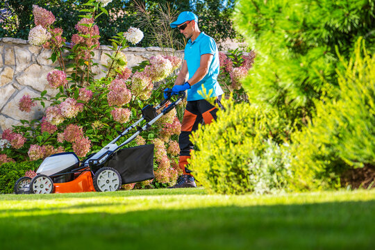 Man mowing a lawn in a garden on a sunny day in the afternoon